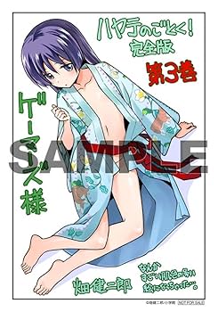 ハヤテのごとく！完全版　1〜19巻　ゲーマーズ特典コンプリートセット コミック】ハヤテのごとく! 完全版(19) | ゲーマーズ 書籍商品の
